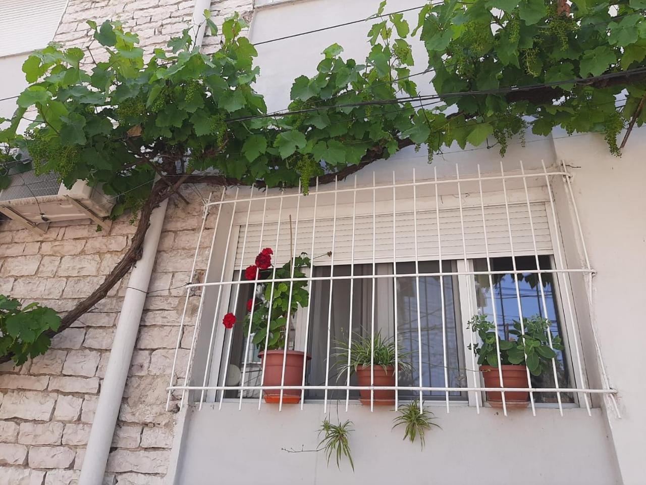 Sofia'S Modern Apartment Gjirokastër Exterior foto